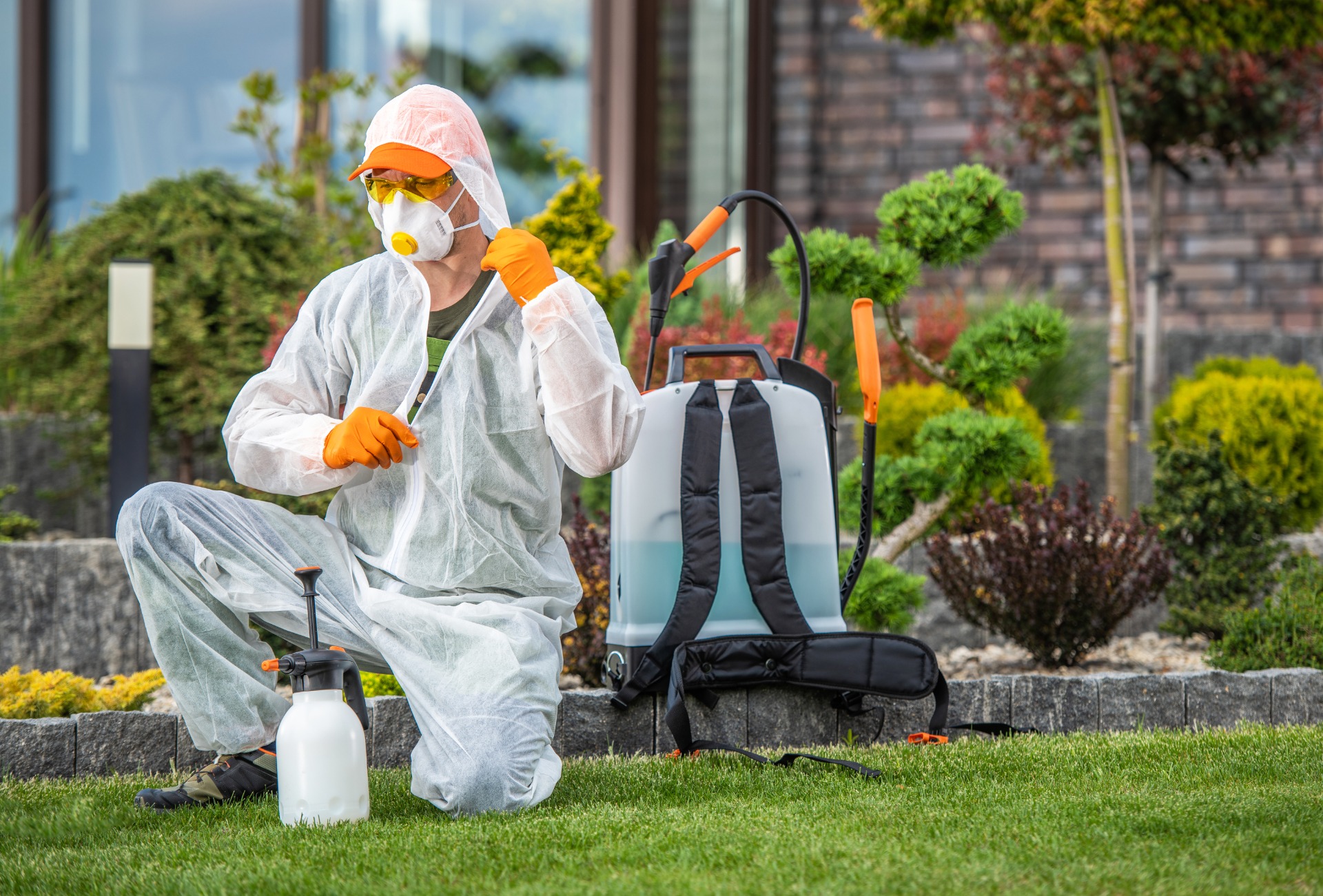 5 Proven Strategies to Boost Your Pest Control Leads