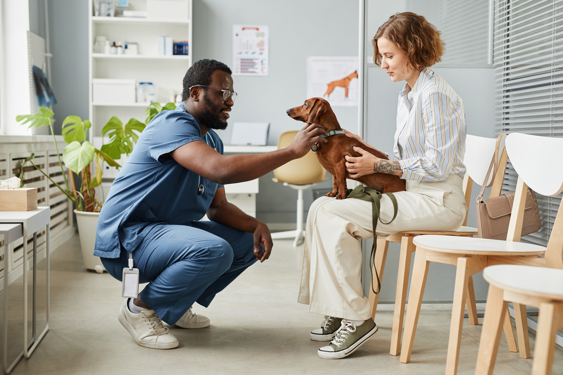 boost-your-veterinary-practice-with-effective-marketing-strategies